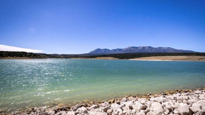 Fish species illegally introduced at Utah reservoir within Colorado River drainage