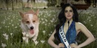 El conmovedor detalle que Fátima Bosch incluyó en su banda de Miss Universo en honor a su mascota Rocco