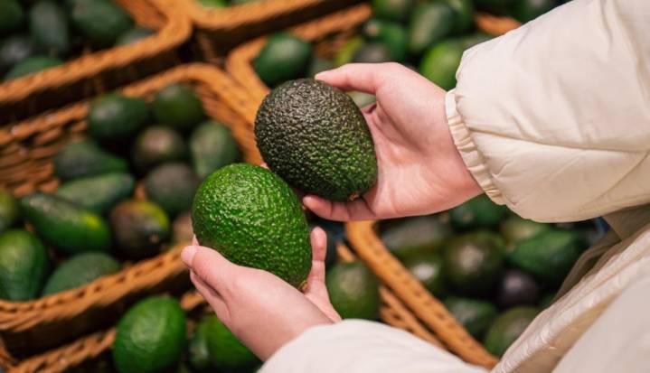 ‘Territorio aguacate’, el evento anual que logró acuerdos para exportar 205.000 toneladas