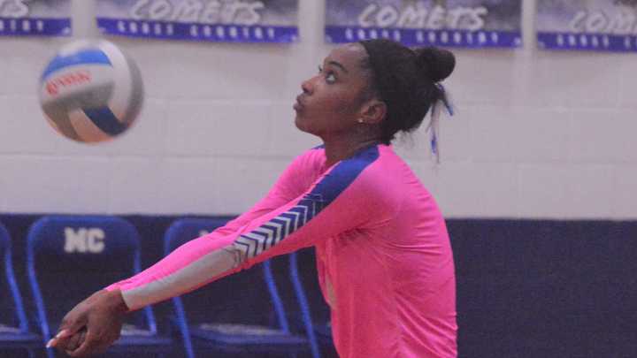 Mackinaw City's Ming leads area players on all