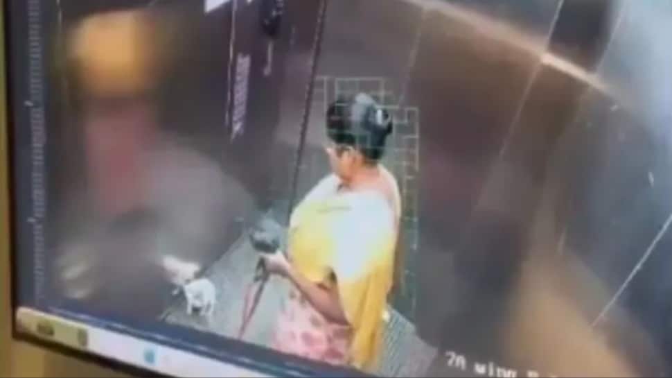 Bengaluru Outrage: CCTV Captures Maid Savagely Beating Puppy Goofy To Death In Apartment Lift