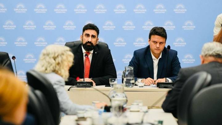 Diputados: nuevo pase del PRO a La Libertad Avanza, que se acerca a ser la principal fuerza legislativa