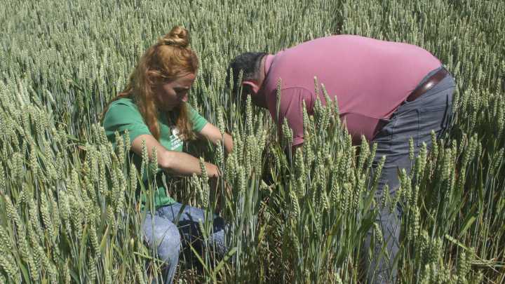 Abierta la convocatoria de ayudas a la modernización de explotaciones agrarias en La Rioja: Consulta las inversiones subvencionables para 2026