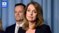 Who is Kellie Sloane, the frontrunner to lead the NSW Liberals?