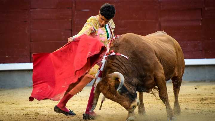 Samuel Castrejón (19), torero, sobre su regreso a los ruedos: "Tenía claro que si volvía a torear era para dar de mí el 100%"