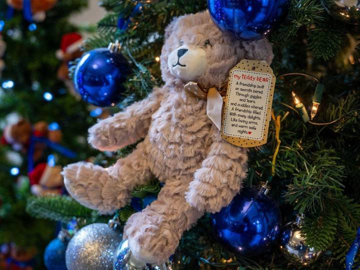 Annual teddy bear campaign will benefit Kingston pediatric program