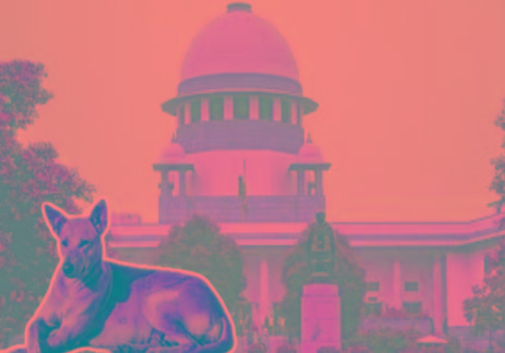 Supreme Court stray dog order big setback to vaccine lobby