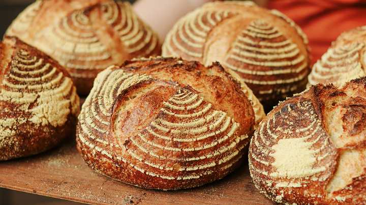 Delmonico’s Team to Open Boogie Lab Bakery