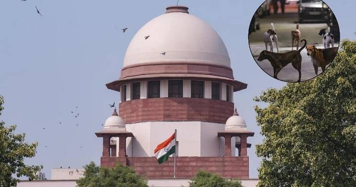 India Supreme Court to pass order in stray dogs case on November 7