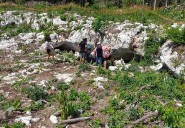 Magistrados avalan revisar daños en cueva Dama Blanca bajo vía del Tren Maya