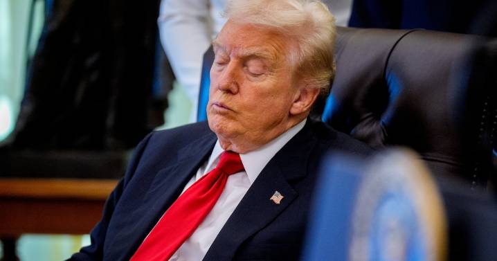 Federalist Boss Savages ‘Weak and Rudderless’ Trump in Scathing Rant