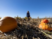 A community in photos: Looking back at October 2025 in Saskatoon