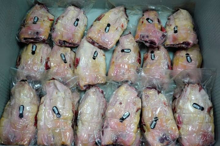 Eight more suspected swine fever cases as Spain struggles to limit export damage