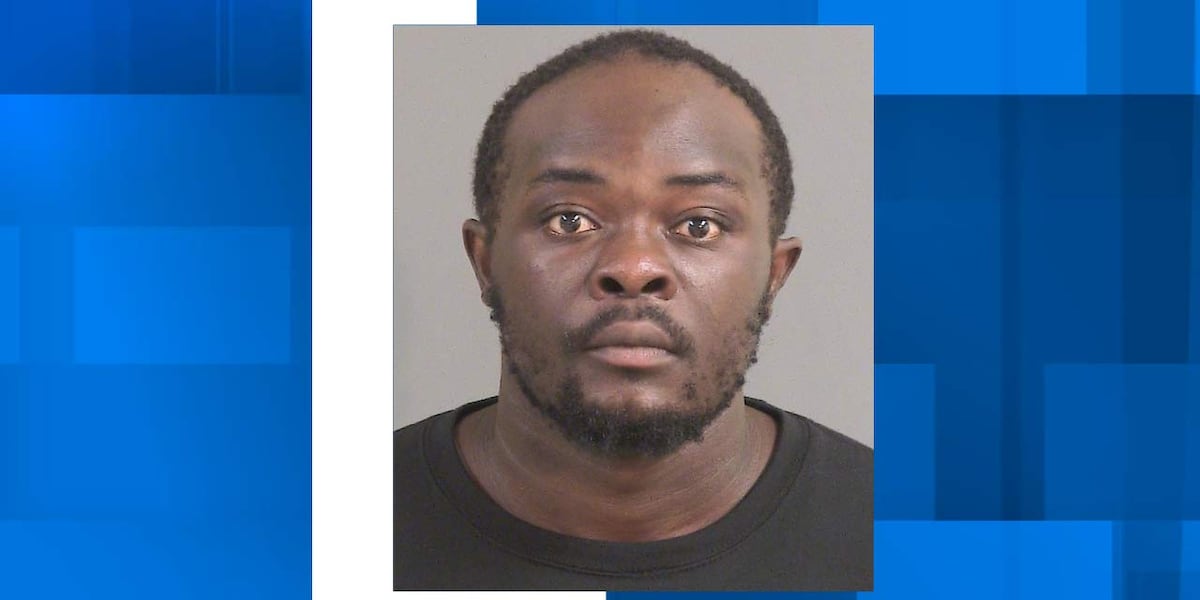 North Charleston Police charge man, recover 2 guns during patrol