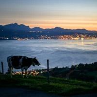 Swiss queasy over chlorinated chicken fears in US tariff deal