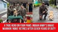 A True Hero on Four Paws: Indian Army’s Brave Warrior ‘Robo’ Retires After Seven Years of Duty