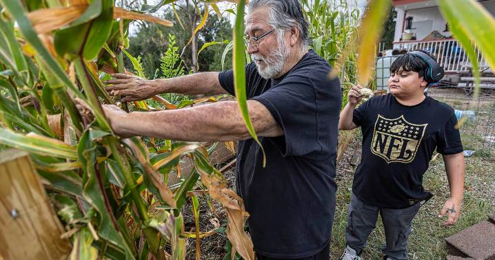 Pilot program will offer $500 per month to kinship caregivers in Rio Arriba, San Juan counties