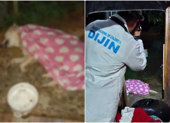 Indignación en redes: hombre habría matado a su perro por subirse a la cama