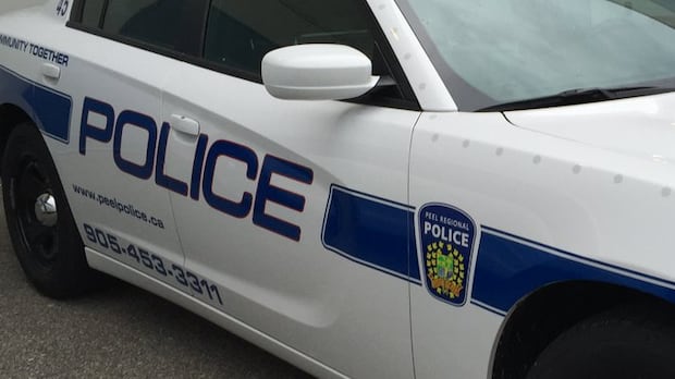 22-year-old charged in hate-motivated Brampton collision
