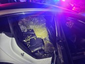 Stolen marijuana found in Tesla after pursuit ends in Gilroy
