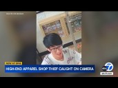 Brazen high-end apparel thief caught on camera at Glendale store