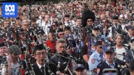 Bagpipers play tribute to AC/DC in world record attempt in Melbourne