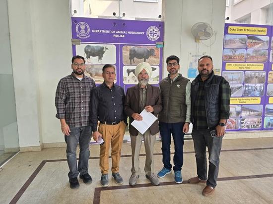 Punjab Veterinary doctors stop reporting to dept over pay