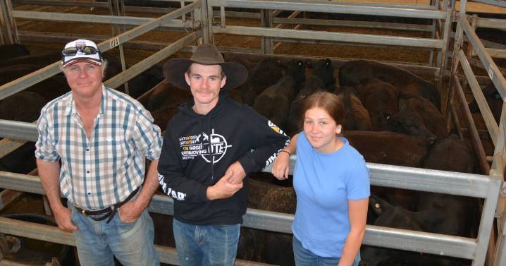 Quality Angus priced higher as demand for quality at Tamworth