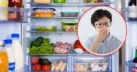 Cómo quitar los malos olores del refrigerador: métodos efectivos y fáciles