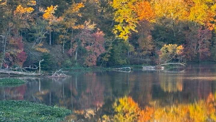 A frosty, colorful fall morning in Mississippi. See photos