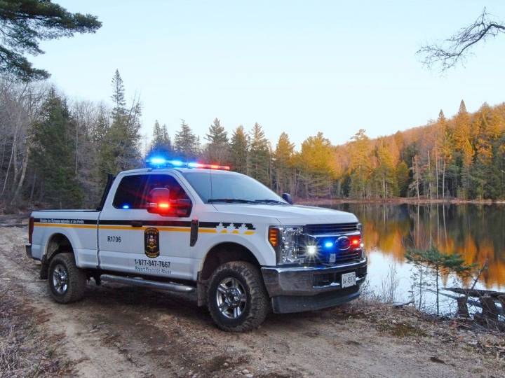 MNR investigating after two deer shot at night near Brantford