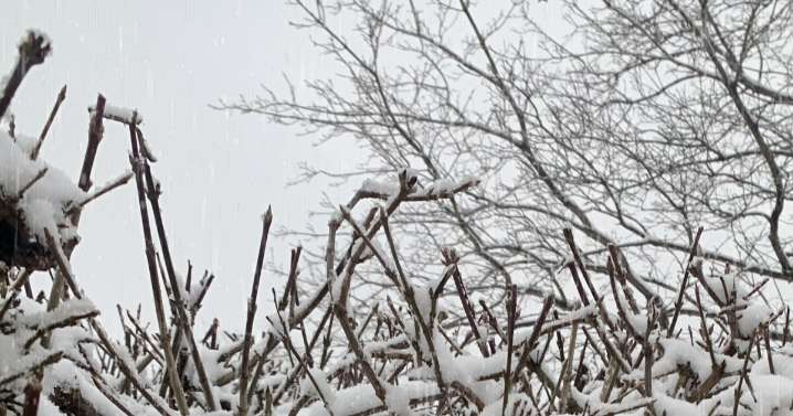 The snow is over, but how much fell across NEO?