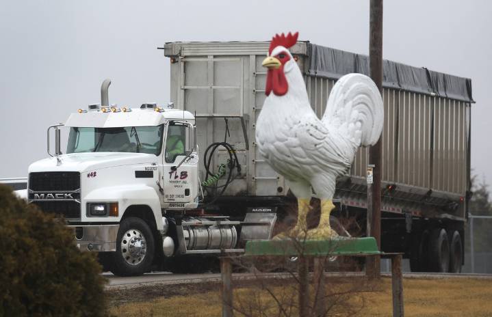 Washington state is number 2 for bird flu