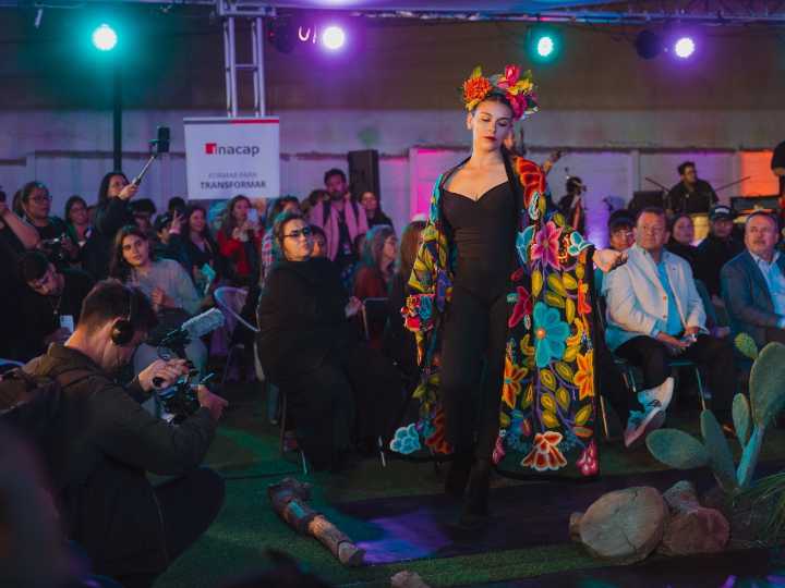 "Desde lo que somos": Festival Arica Diseña impulsa la industria creativa regional