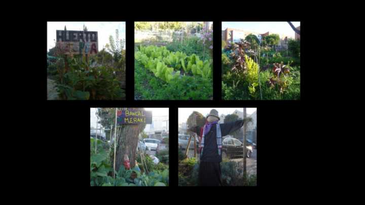 El huerto Utopía del barrio de Vallecas