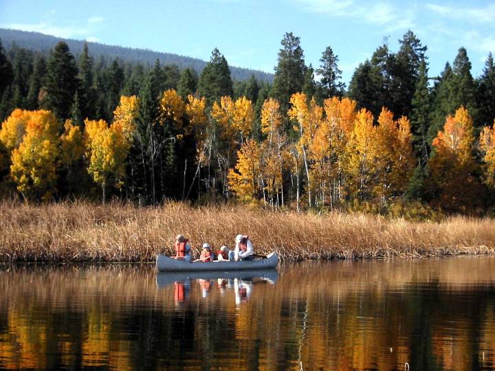 Oregon Officials Warn Toxic Bacteria in Klamath Refuge Water Can Be Fatal to Dogs