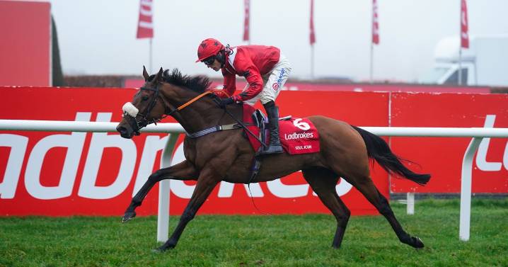 Half price tickets to Kempton Park Ladbrokes Christmas Festival
