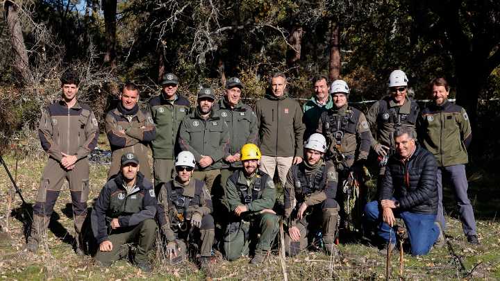 Así trabajan los protectores de las aves salvajes de Madrid