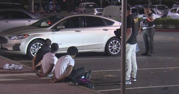 8 arrested in connection to armed robbery near high school in Elk Grove