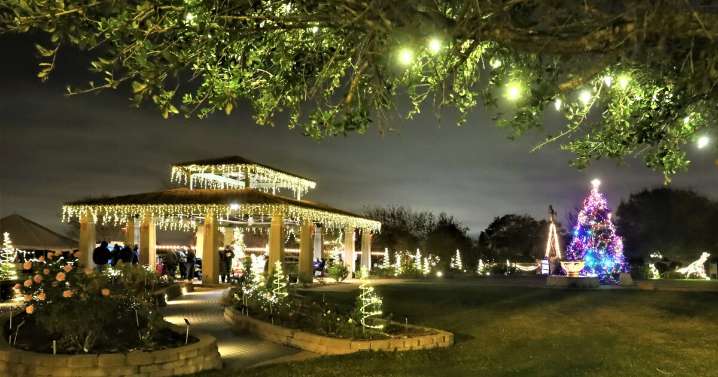 South Texas Botanical Gardens transforms into winter wonderland for Holly