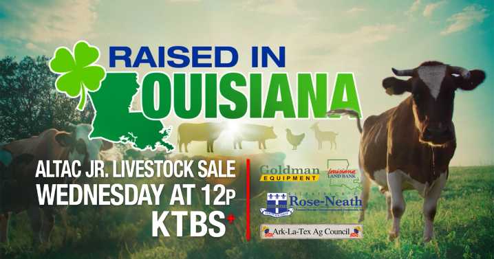 2025 ALTAC Jr. Livestock Sale rewards hard work of students