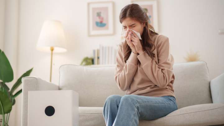 4 Types Of Air Pollution That Are Probably Already In Your Home (& How To Get Rid Of It)
