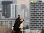 Calgary photographers around town for the November 14