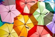 Cuál es el significado de tener un color favorito según la psicología