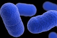 Worsening listeria outbreak kills 6, hospitalizes 25