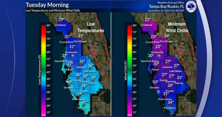 Historic cold forecast in Tampa with temperatures near record lows