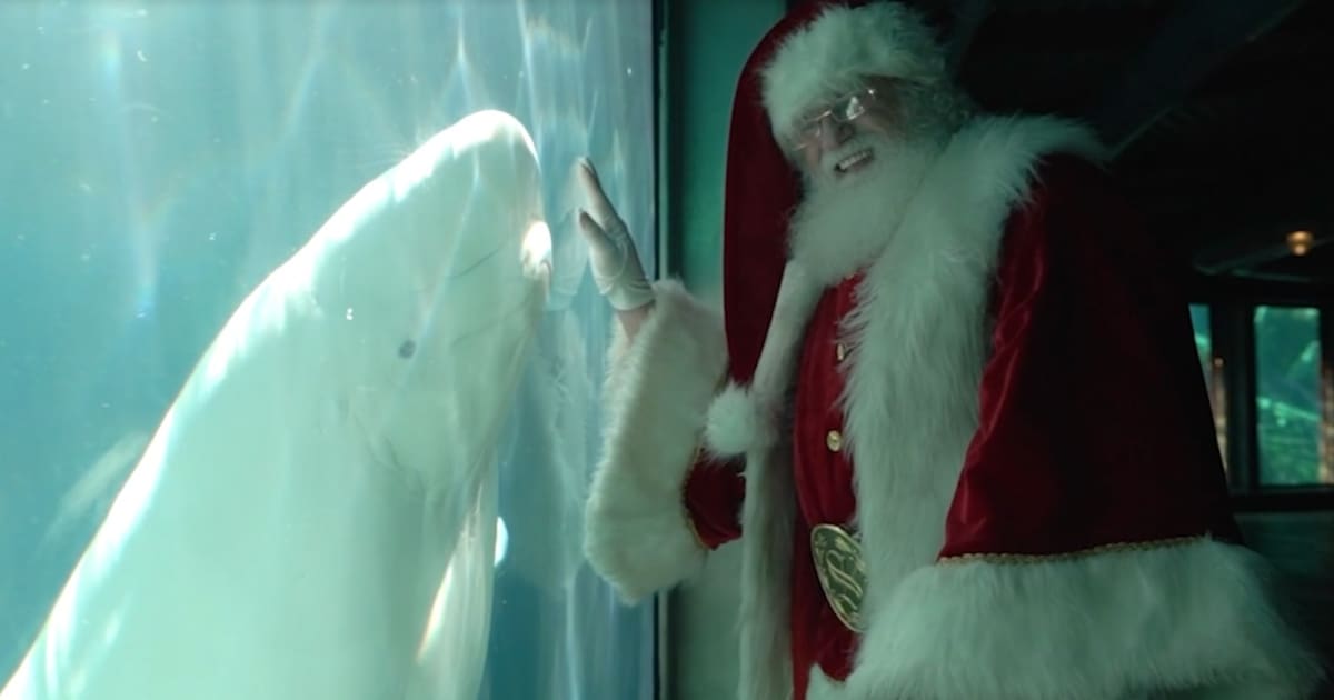 Navidad entre orcas, renos y un millón de luces