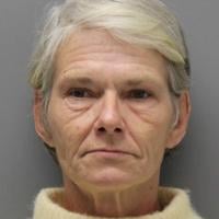 Woman charged with trying to commit robbery at dollar store