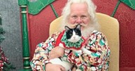 'Pet Pictures With Santa' returns to Washington Square Mall this month