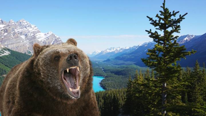 Ultimátum de Trump: Ucrania deberá aceptar el plan de paz antes del Día de Acción de Gracias